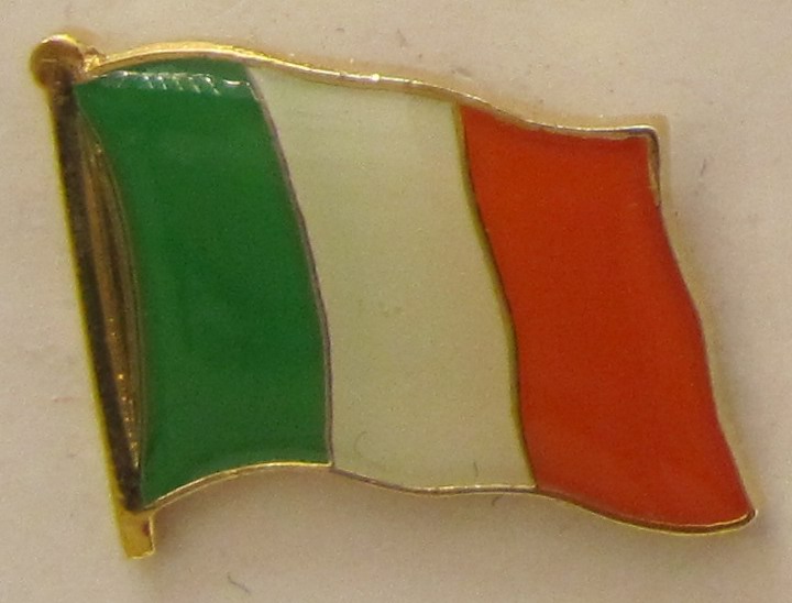 Pin Anstecker Flagge Fahne Irland Nationalflagge Flaggenpin Button Badge Flaggen Clip Anstecknadel