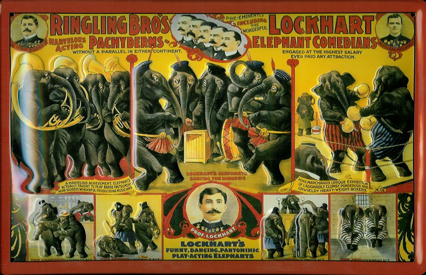 Blechschild Nostalgieschild Ringling Brothers Zirkus Elefanten