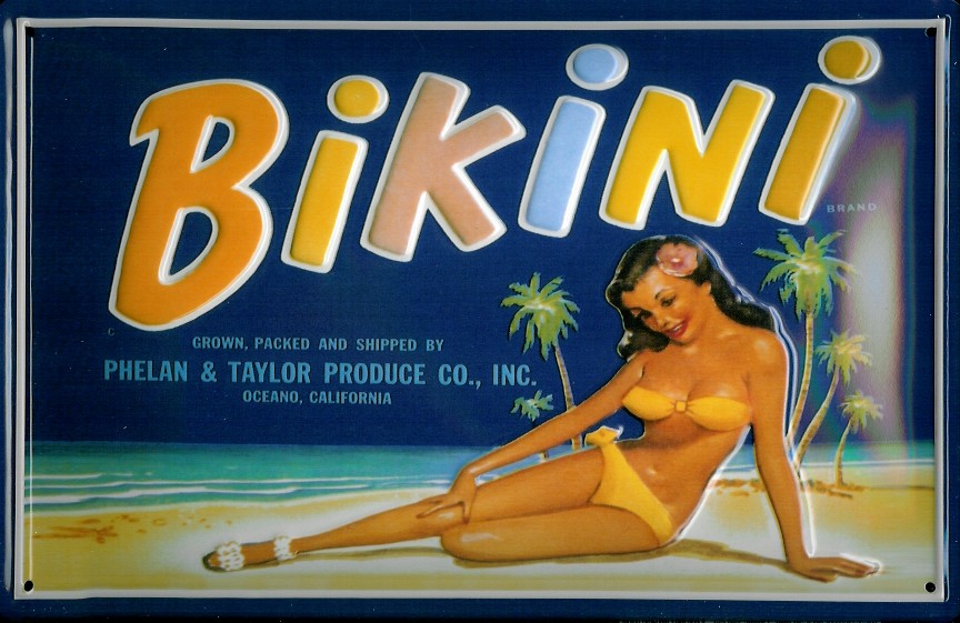 Blechschild Nostalgieschild Bikini Mädchen Südsee Strand