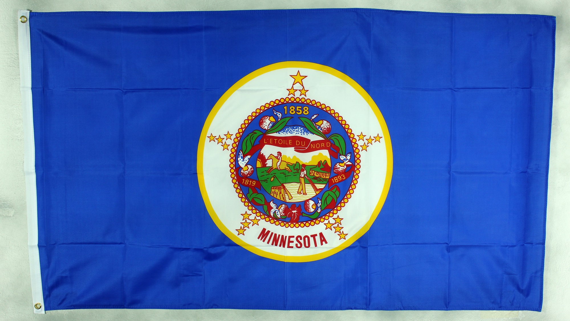 Flagge Fahne : Minnesota