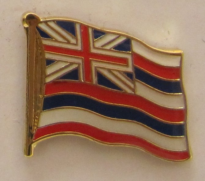 pin_flagge_hawaii