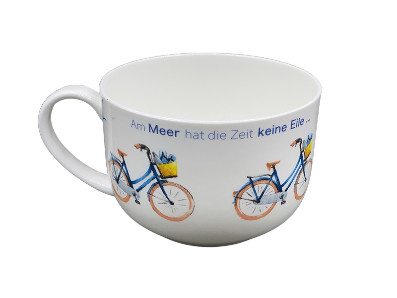 schale-fahrrad-3