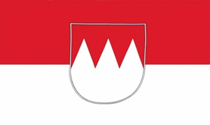 13648 Franken Flagge Großformat 250 x 150 cm wetterfest