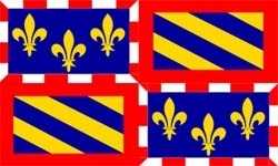 Flagge Fahne : Burgund (Region) Frankreich