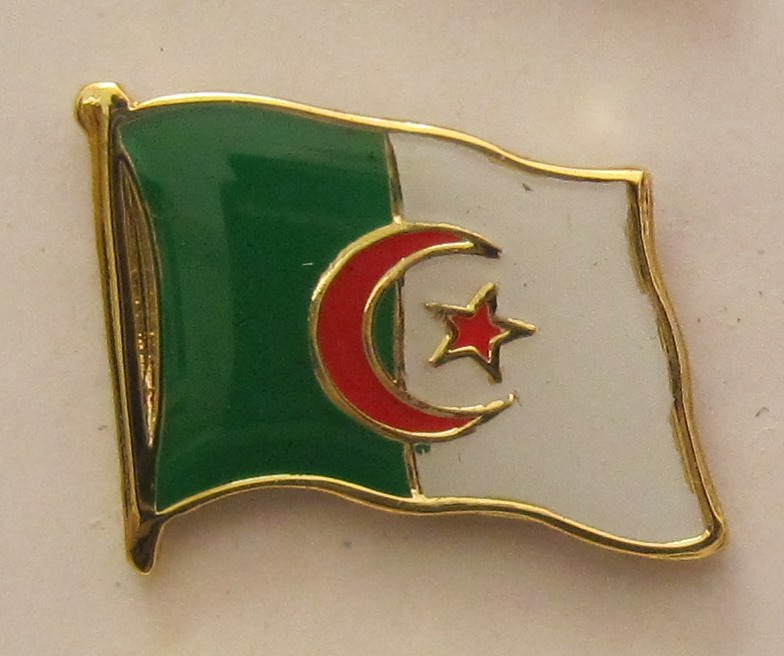 pin_flagge_algerien