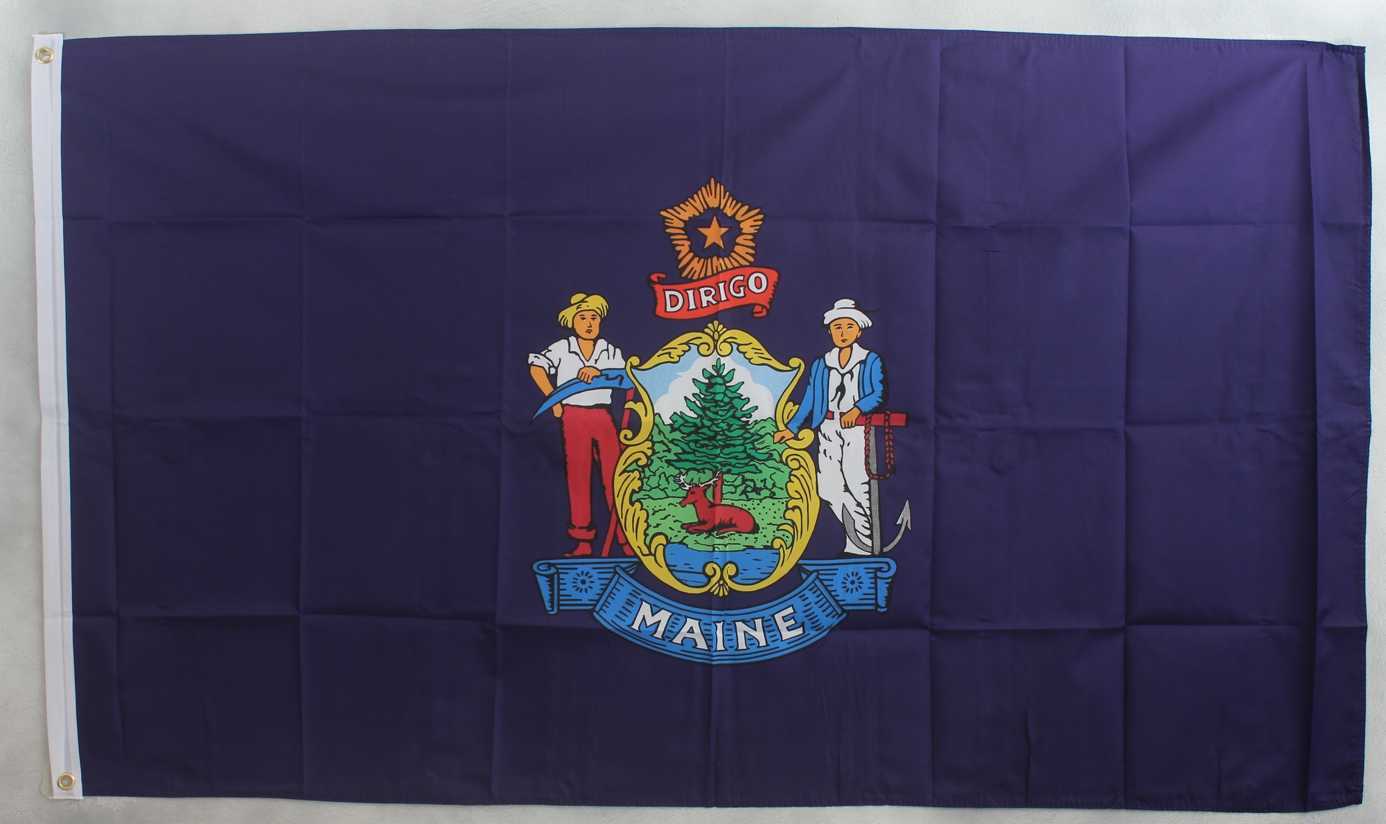 Flagge Fahne : Maine