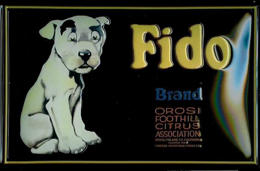 B318-Fido
