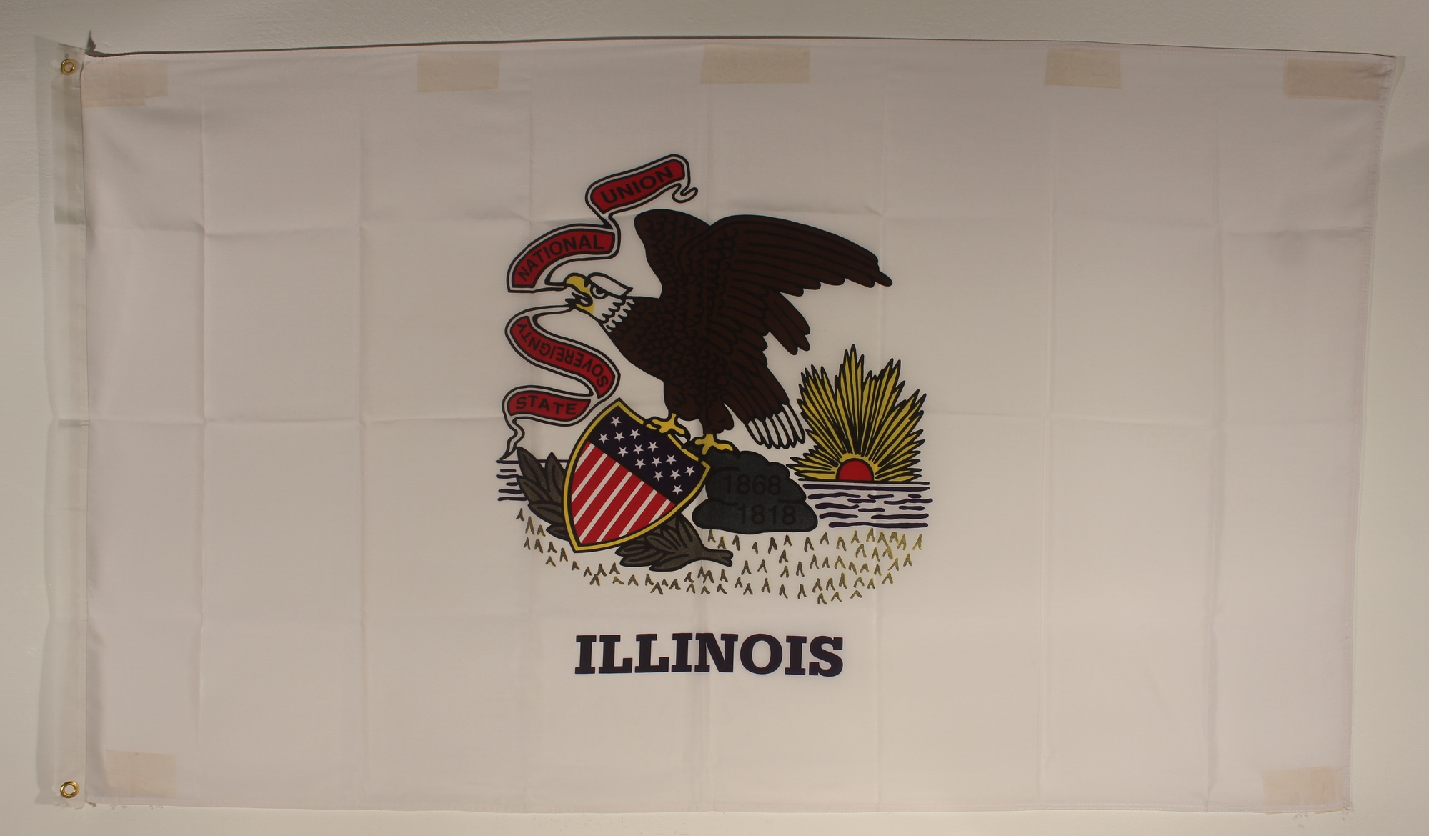 flagge-illinois
